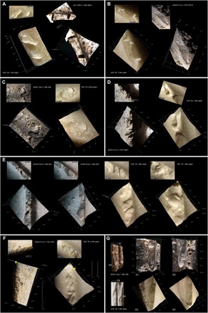 Qesem洞窟の骨と保存実験で生じた骨の加工痕を示す原著図3
